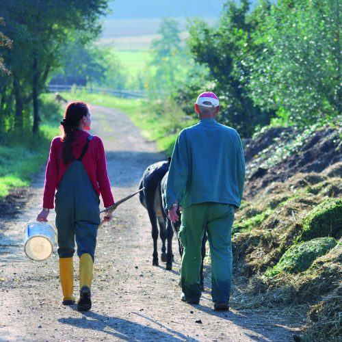 Sich nützlich machen in der Landwirtschaft